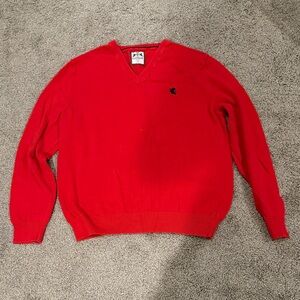 Express Bold Red V-Neck Sweater